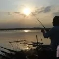 Untuk pertama kalinya ada pasien tertusuk ikan cenro di RS Wahidin