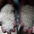 RI Govt seals Sabang warehouse over 250-tonne illegal rice import