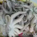 Tiongkok minati produk gurita beku dari NTT