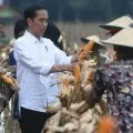 Kadin assistance could reach two million farmers by 2023: President Jokowi