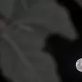 Fenomena supermoon