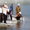 Presiden Jokowi janji tambah 13 bendungan lagi untuk NTT