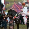 Ini kata Bupati Mbiliyora soal kepersertaan parade kuda sandelwood
