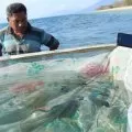 Pokmaswas Pedang Wutun perlu sentuhan