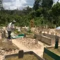Pelarangan semenisasi makam