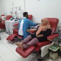 PMI Kota Makassar siagakan relawan "on call" penuhi kebutuhan darah