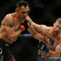 UFC gelar pertandingan di China untuk pertama kalinya sejak pandemi