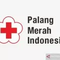 JK: Indonesia harus miliki kontribusi saintis pengobatan COVID-19