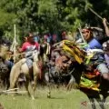 Sumba Barat tuntaskan pembangunan fasilitas di lokasi baru atraksi pasola
