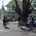 Yogyakarta Kenalkan Monalisa Ke Wali Kota Se Indonesia Antara News<script async src=