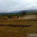 Petani Aceh Tenggara diamankan atas dugaan pembakaran lahan