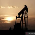 Minyak Naik Lagi Karena Krisis Energi Belum Menunjukkan Tanda Mereda Antara News<script async src=