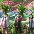 Bupati Flotim apresiasi sinergisitas budi daya pertanian