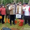Kepala Bnpb Yakin Pengendalian Covid 19 Di Pon Xx Papua Berjalan Baik Antara News<script async src=