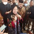 Mensos Risma nyatakan biaya penanggulangan lansia tunggal tidak murah