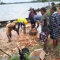 PT PAL gandeng masyarakat bersihkan Sungai Rawa Kasat Merauke dari sampah