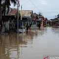 BPBD:  Lebih seribu rumah di bantaran Sungai Palu terendam banjir
