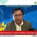 Eight Indonesian provinces rabies-free: Health Ministry