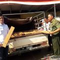 Polres Tabalong amankan 750 potong kayu Ulin ilegal