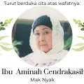 Profil Aminah Cendrakasih pemeran Mak Nyak 'Si Doel'