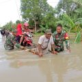 1.709 rumah terendam banjir di Kabupaten Pinrang