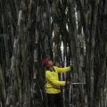 Opini - Merawat Bumi, tanah, dan air ala Kung fu Panda