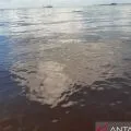 Pantai Trikora Bintan tercemar limbah sehingga berwarna coklat
