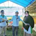 HKTI Batam minta Satgas PMK tingkatkan waspadai hewan ternak ilegal