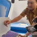 Bengkulu ajukan penambahan dua ribu dosis vaksin COVID-19