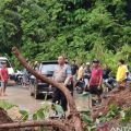 Pemkab Minahasa Utara gerak cepat bantu warga terdampak banjir dan longsor