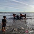 Tiga anak hanyut saat mandi di Pantai Pasir Putih Bengkulu