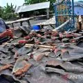 Polisi dalami kepemilikan 13 koli teripang dan sirip hiu di Rote Ndao