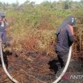 Kebakaran 1,3 Ha lahan kebun di Aceh Barat sudah padam