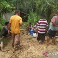 Puluhan hektare sawah warga Solok terendam banjir bandang