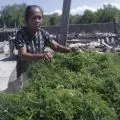 Mama-mama di kawasan pesisir olah rumput laut jadi bahan baku sirop