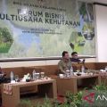 Indonesia unveils multi-business forestry plan in Vienna Summit