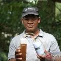 Menikmati "manisnya" madu trigona untuk persiapan masa pensiun