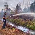 Hujan redakan Karhutla tiga titik api di Aceh Barat