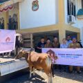 DSLNG serahkan 17 ekor sapi kurban untuk Idul Adha 1444 Hijriah