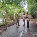 Cuaca ekstrem picu longsor dan pohon tumbang tutup jalan di  Ambon