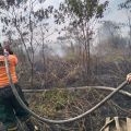 Karhutla capai 5.768 ha, BPBD Kalbar optimalisasi patroli cegah dan tangani