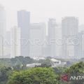 Pakar paru bagikan cara menilai kualitas udara tanpa alat