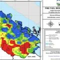 BMKG catat 220 hot spot di Riau