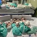 Krisis energi, dokter di jalur Gaza terpaksa rawat empat bayi dalam satu inkubator