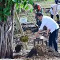 Presiden Jokowi tanam pohon bersama masyarakat Embung Anak Munting