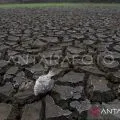 DPRD NTT:  Penanganan El Nino perlu dilakukan bersama-sama