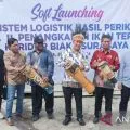 Dirjen PDSPKP lepas pengiriman hasil ikan Biak ke Surabaya