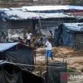 Warga Rohingya menyebrang ke Bangladesh akibat perang junta-pemberontak