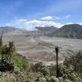 Objek Wisata Gunung Bromo ditutup total untuk pembersihan kawasan