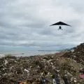 Kasatlantas dan Kapolsek Kuansing jatuh dari paramotor saat patroli udara